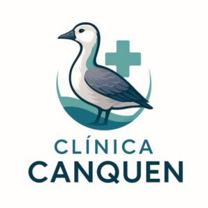 cropped logo.png
